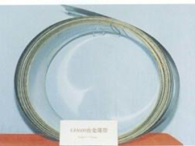 金屬軟管